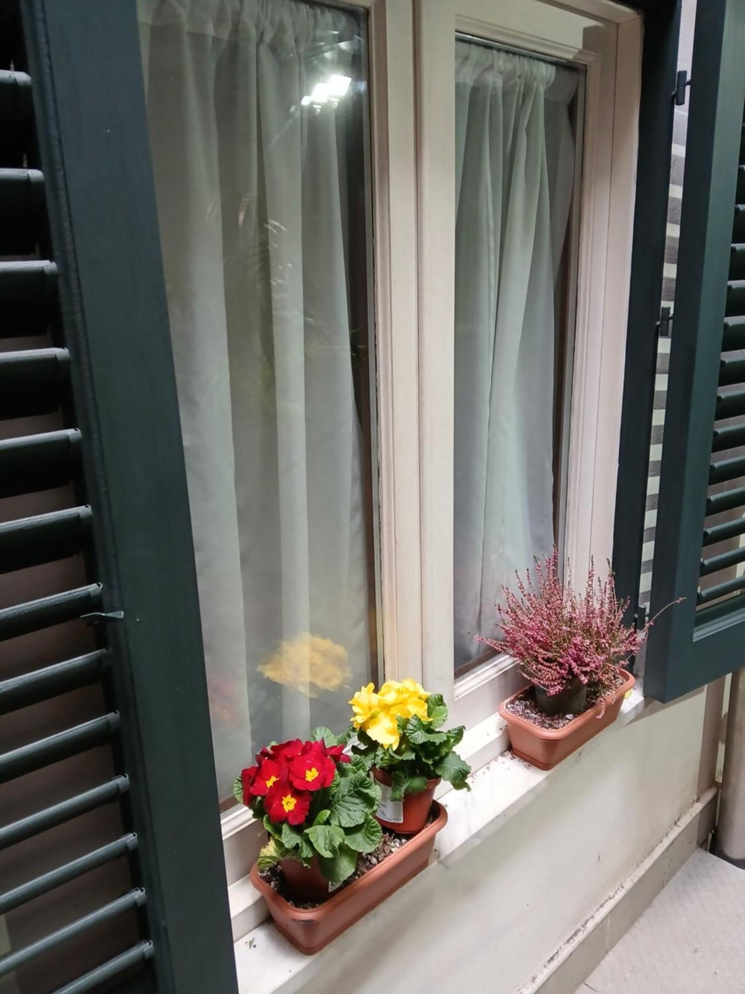 B&B Casa Degli Artisti Palermo Ngoại thất bức ảnh
