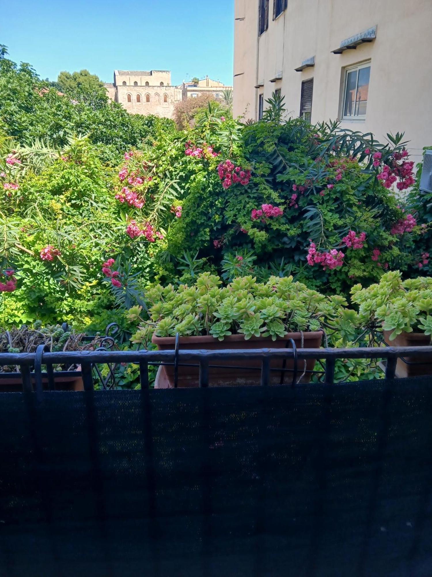 B&B Casa Degli Artisti Palermo Ngoại thất bức ảnh